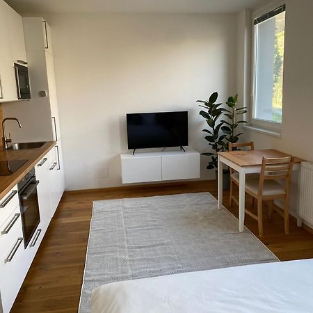 Vila Vinice 布拉格 外观 照片
