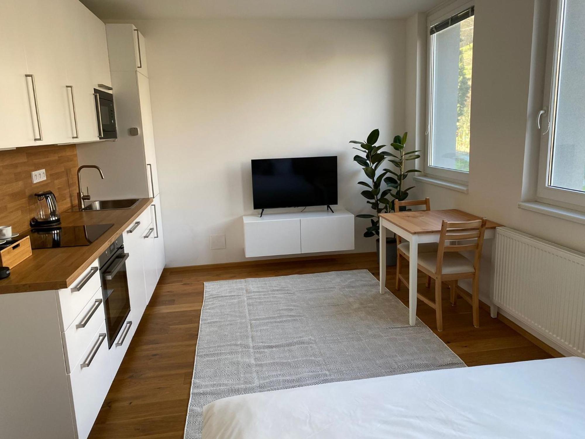 Vila Vinice 布拉格 外观 照片